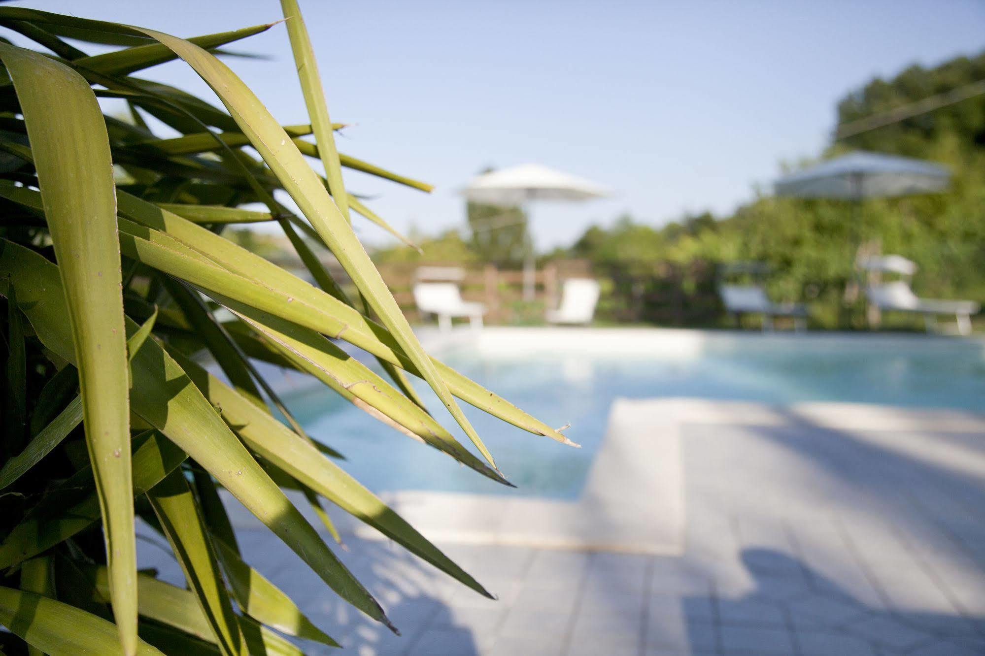 Country House Angelo Blu Urbania Εξωτερικό φωτογραφία